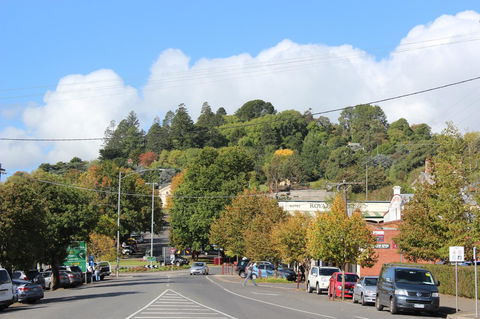 The Orchard - Australian Directory 29