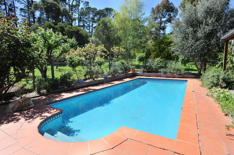 Lavender Farm - Australian Directory 1