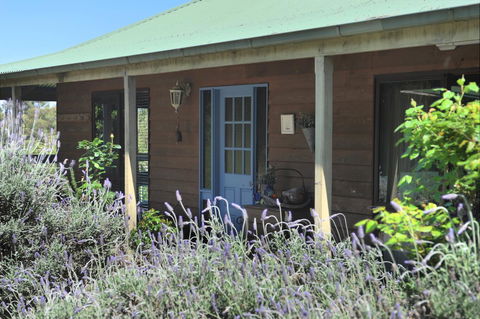 Lavender Farm - Australian Directory 8