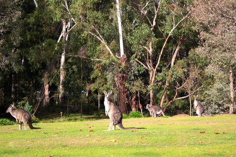 Marwood Luxury Villas - Australian Directory 28