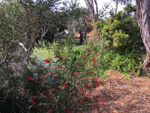 Andrew's On Topaz - Australian Directory 1