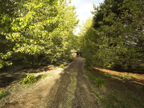 Angel's Rest - Australian Directory 0