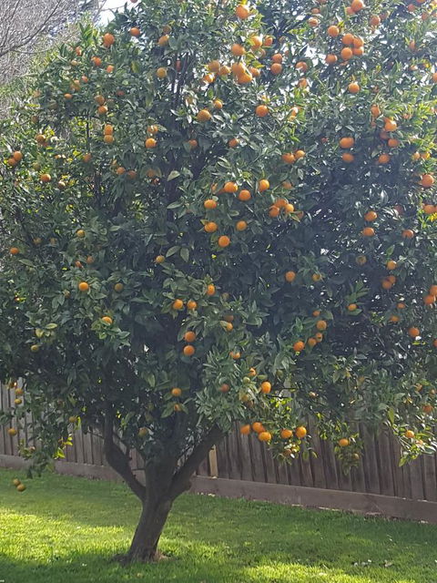 Juliet House - Australian Directory 21