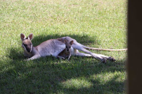 The Hideaway Agnes Water (Adults Only) - Australian Directory 42