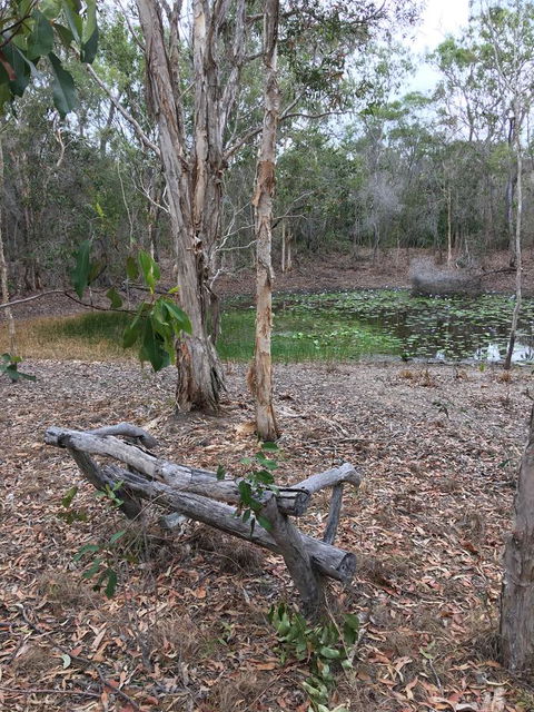 The Hideaway Agnes Water (Adults Only) - Australian Directory 38