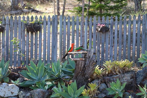 The Hideaway Agnes Water (Adults Only) - Australian Directory 40