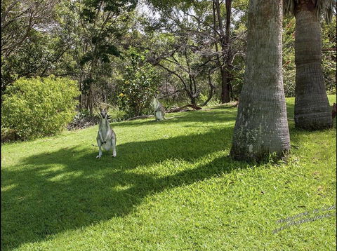 The Hideaway Agnes Water (Adults Only) - Australian Directory 23