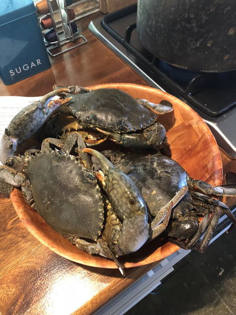 Cairns Beach House Our Oasis - Australian Directory 4