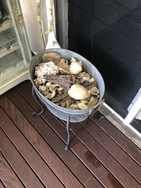 Cairns Beach House Our Oasis - Australian Directory 38