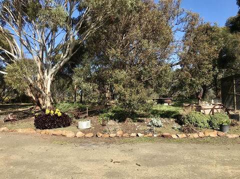 Beeâ€™s Place - 3 Bedroom Home On 10 Acres Of Land With Distant Ocean Views - Australian Directory 15