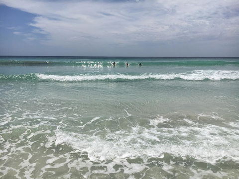 Beeâ€™s Place - 3 Bedroom Home On 10 Acres Of Land With Distant Ocean Views - Australian Directory 28