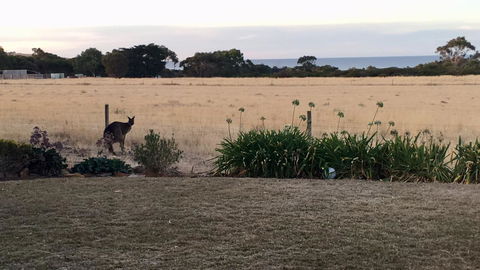 Beeâ€™s Place - 3 Bedroom Home On 10 Acres Of Land With Distant Ocean Views - Australian Directory 23