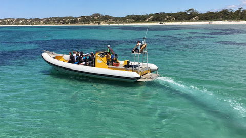 Beeâ€™s Place - 3 Bedroom Home On 10 Acres Of Land With Distant Ocean Views - Australian Directory 29