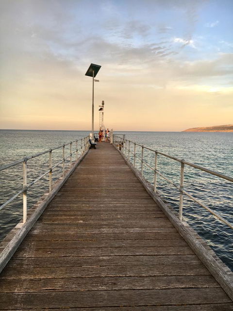 Beeâ€™s Place - 3 Bedroom Home On 10 Acres Of Land With Distant Ocean Views - Australian Directory 26