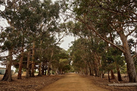 Hanson Bay Cabins - Australian Directory 21