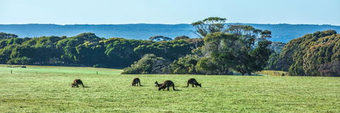Hanson Bay Cabins - Australian Directory 23