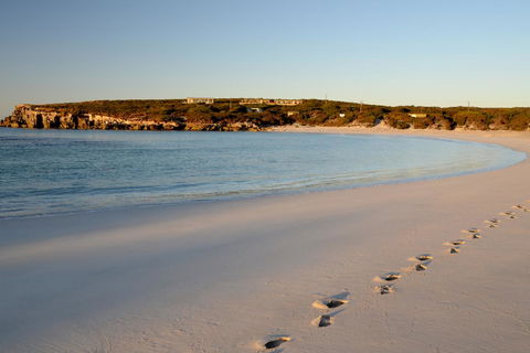 Hanson Bay Cabins - Australian Directory 16