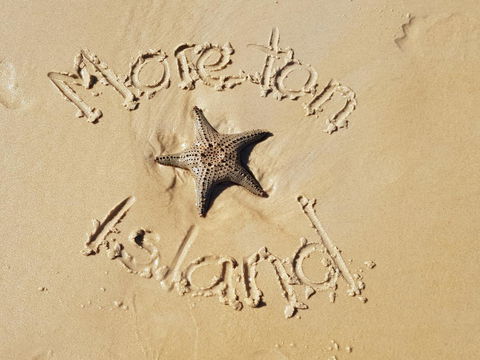 Moreton Island Villas And Apartments - Australian Directory 31