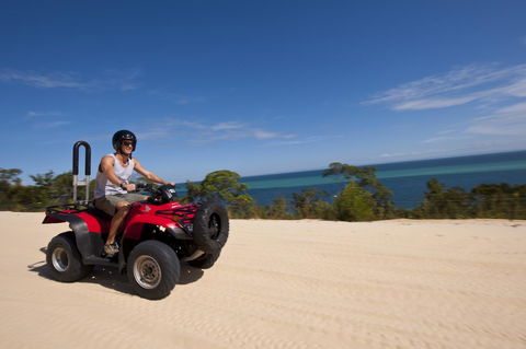 Tangalooma Island Resort - Australian Directory 12