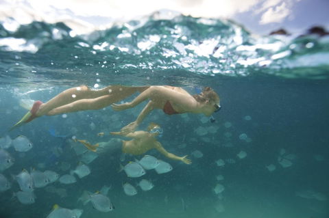 Tangalooma Island Resort - Australian Directory 4