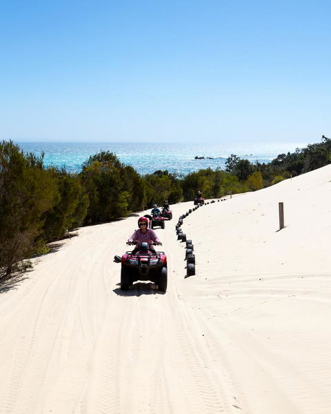 Tangalooma Island Resort - Australian Directory 11