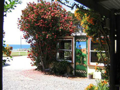 King Island Accommodation Cottages - Australian Directory 11