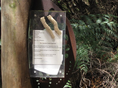 King Island Accommodation Cottages - Australian Directory 42