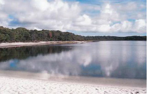 King Island Accommodation Cottages - Australian Directory 17