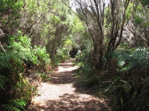 King Island Accommodation Cottages - Australian Directory 12