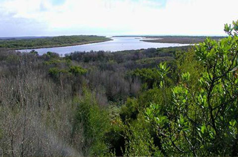 King Island Accommodation Cottages - Australian Directory 20