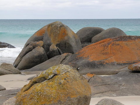 King Island Accommodation Cottages - Australian Directory 40