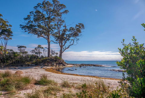 Adventure Bay Holiday Home - Australian Directory 12