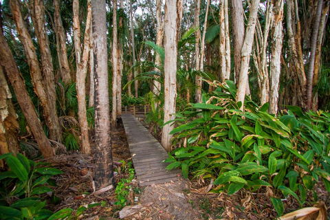 Agnes Palms Accommodation - Australian Directory 0