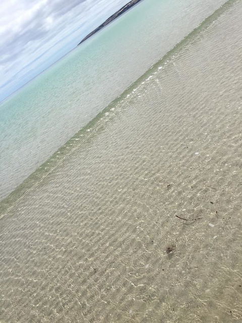 Alchemy On Island Beach - Australian Directory 2