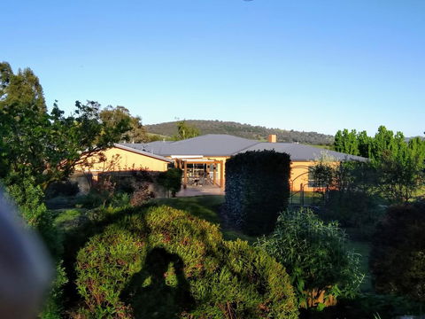 Altitude221 - Australian Directory 0