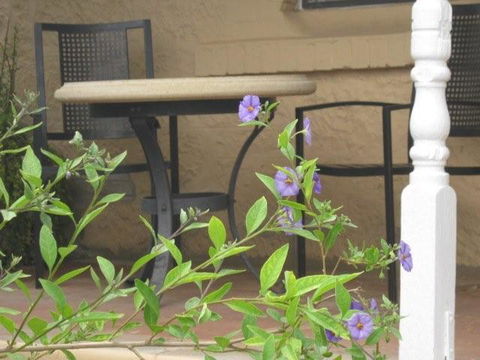 Amalie Cottage Waikerie - Australian Directory 0