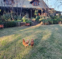 Angaston by the Winter Creek - Australian Directory