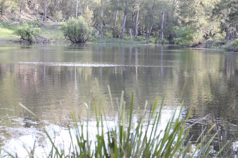 Arcadian Cabin - Southern Highlands River Retreat - Australian Directory 0