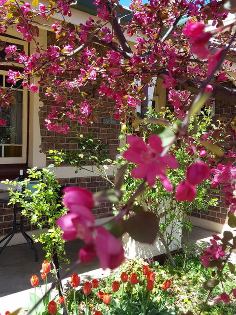Arden On McLachlan - Australian Directory 3