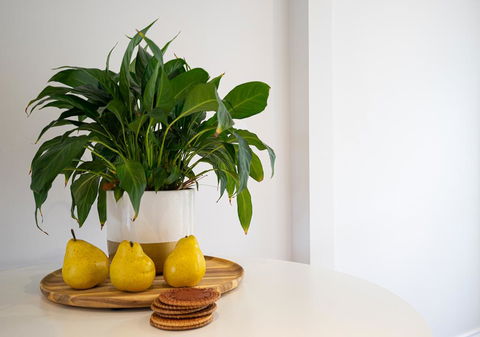 Azure Beach Retreat - Spa Luxury - Australian Directory 2