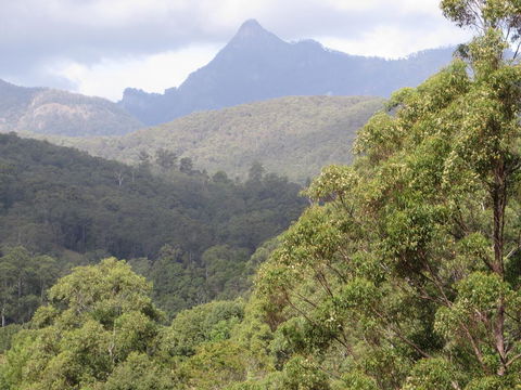 Babbling Brook Retreat - Australian Directory 2