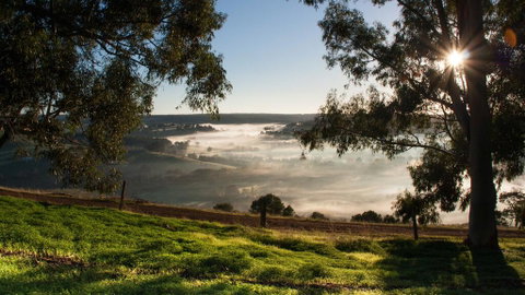 Balingup Heights Hilltop Forest Cottages - Australian Directory 0