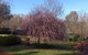 Balingup Jalbrook Cottages - thumb 1