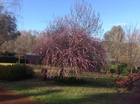 Balingup Jalbrook Cottages - Australian Directory 1
