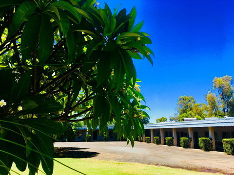 Balonne River Motor Inn - Australian Directory 0