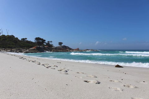 Barefoot Beach House - Australian Directory 1