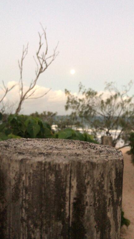Barefootbeach Shack - Australian Directory 2