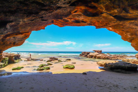 Beachside Oasis - Australian Directory 1