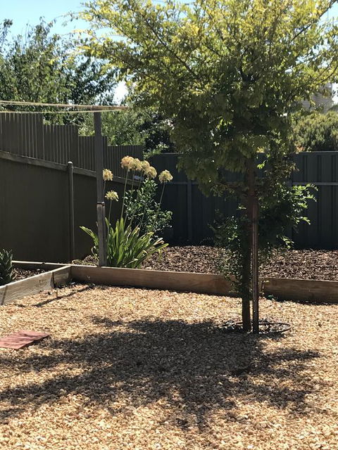 Beatty Cottage - Australian Directory 2