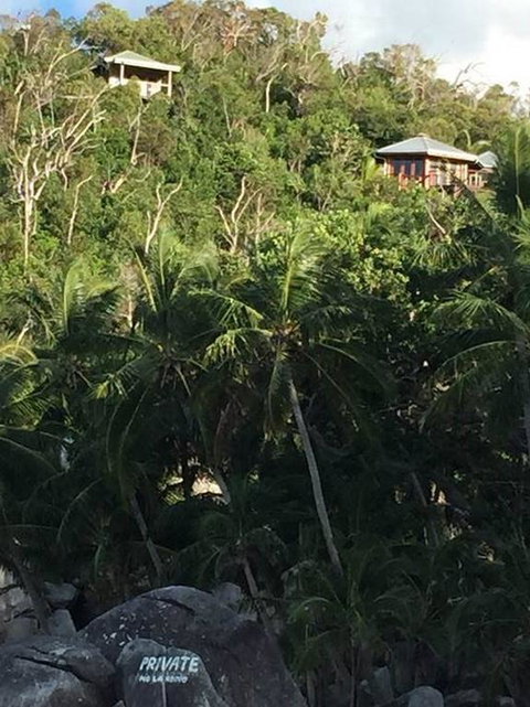 Bedarra Island Treetop Hideaway - Australian Directory 3
